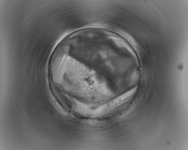 X0000097610907200803141936