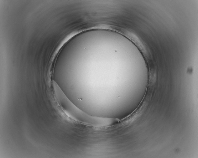 X0000097610908200803141936