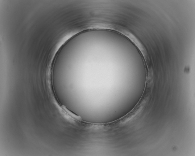 X0000097610909200803141936