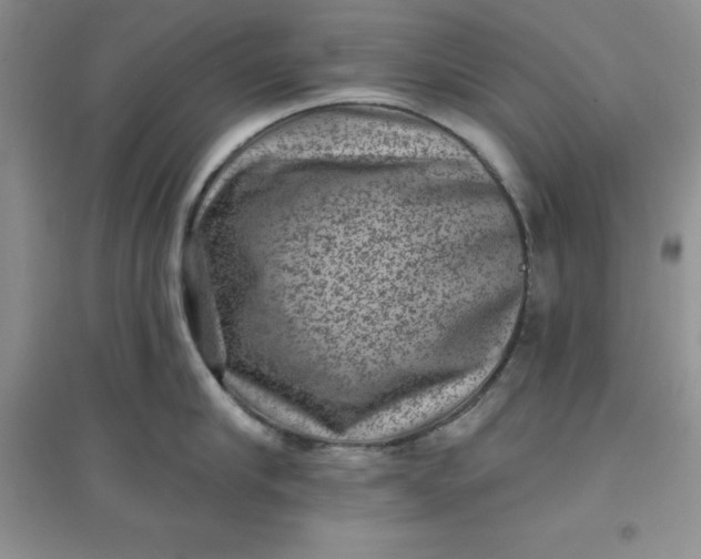 X0000097610910200803141936