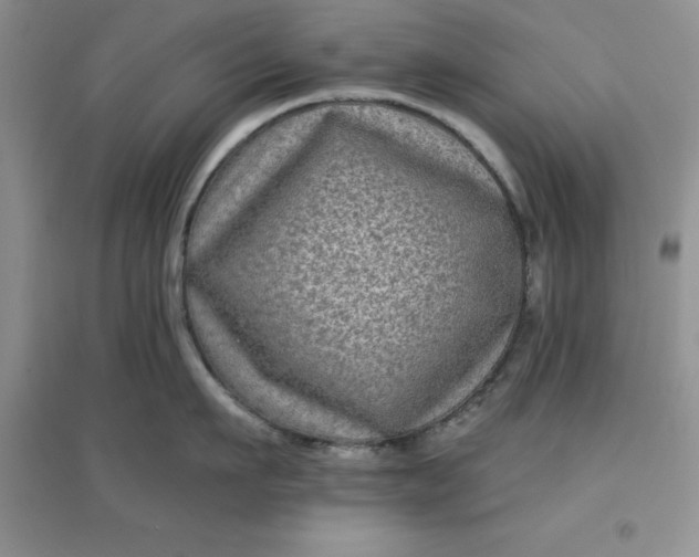 X0000097610911200803141936