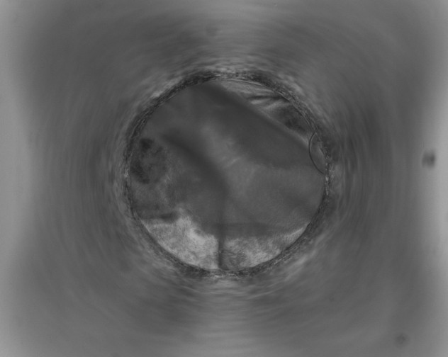 X0000097610913200803141936