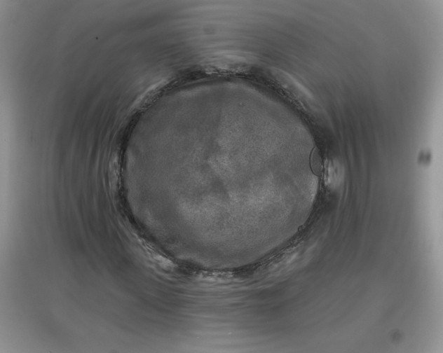 X0000097610915200803141936