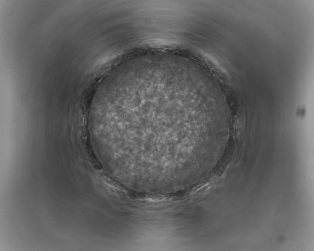 X0000097610917200803141936