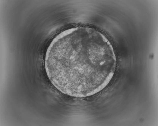 X0000097610918200803141936