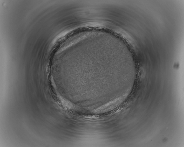 X0000097610920200803141936