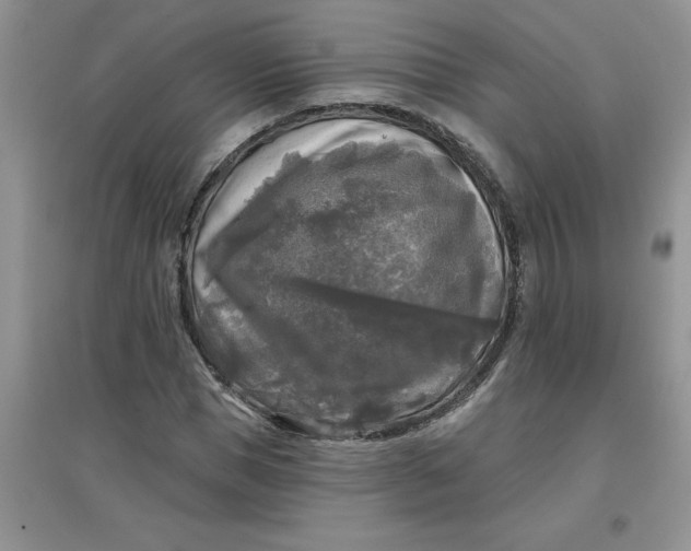 X0000097610921200803141936