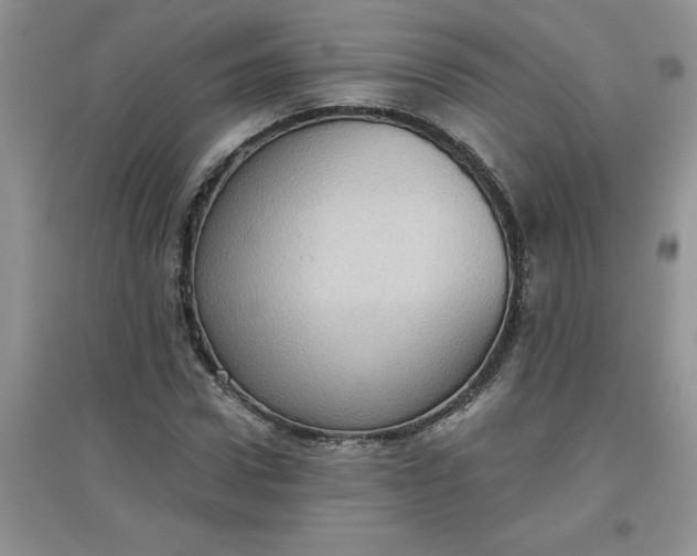 X0000097610922200803141936