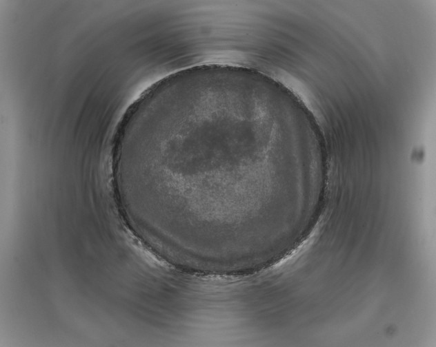 X0000097610923200803141936