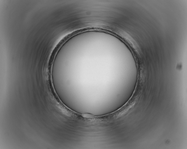 X0000097610924200803141936