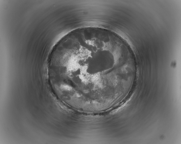 X0000097610925200803141936