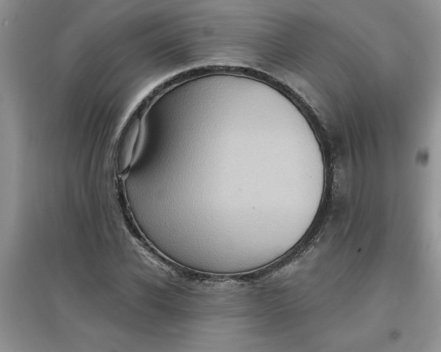 X0000097610926200803141936