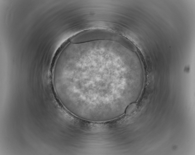 X0000097610928200803141936