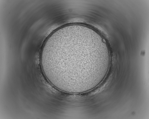 X0000097610929200803141936