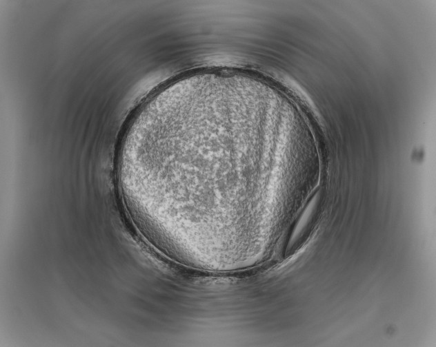 X0000097610930200803141936