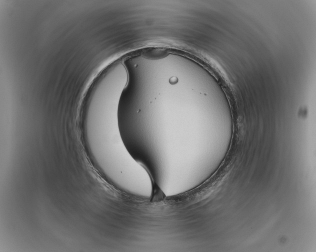 X0000097610931200803141936