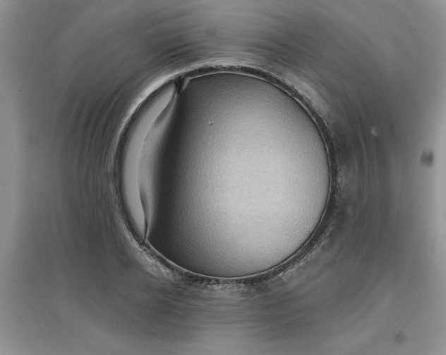 X0000097610934200803141936