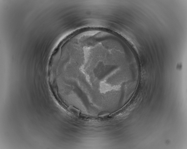 X0000097610935200803141936