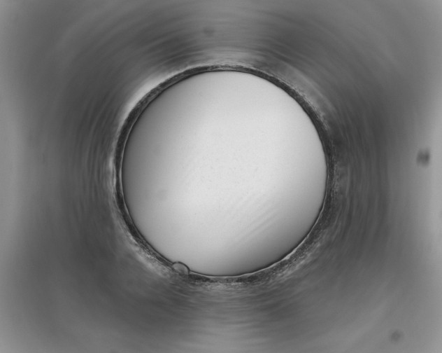 X0000097610936200803141936