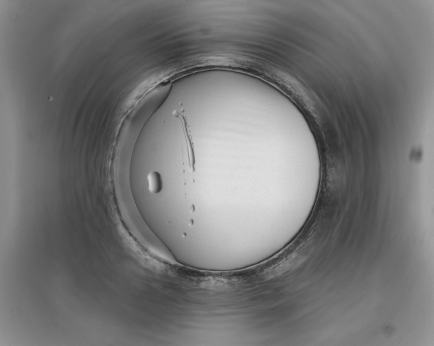 X0000097610938200803141936