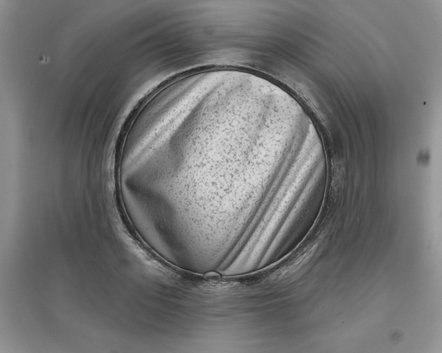 X0000097610939200803141936