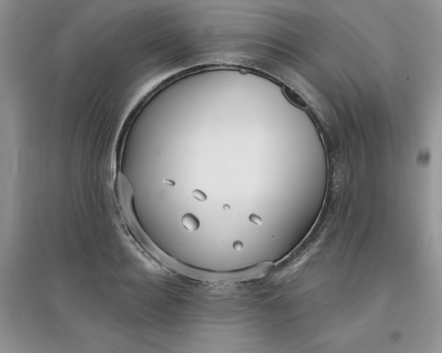 X0000097610940200803141936