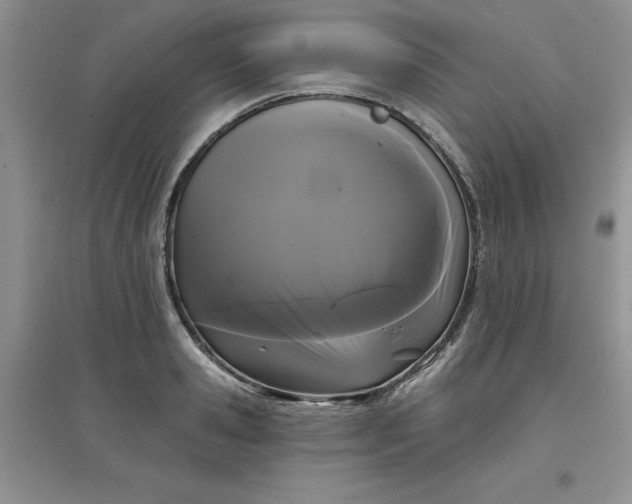 X0000097610941200803141936