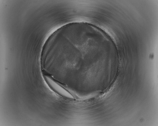 X0000097610943200803141936