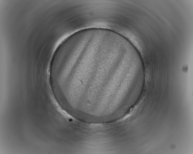 X0000097610944200803141936