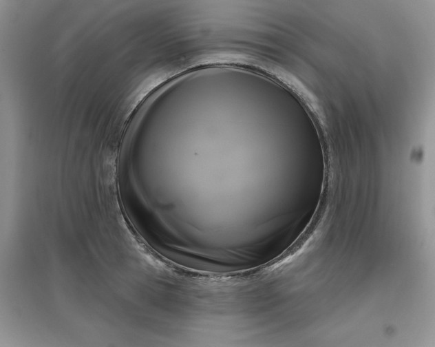 X0000097610945200803141936