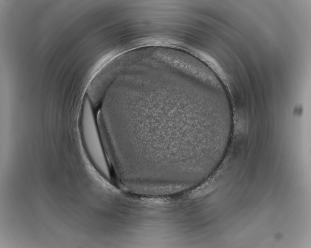 X0000097610946200803141936