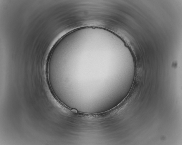 X0000097610947200803141936