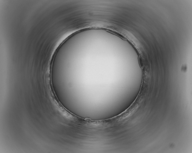 X0000097610948200803141936