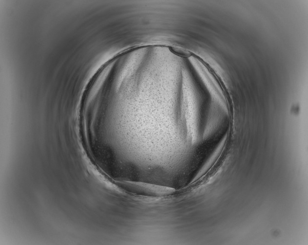 X0000097610949200803141936