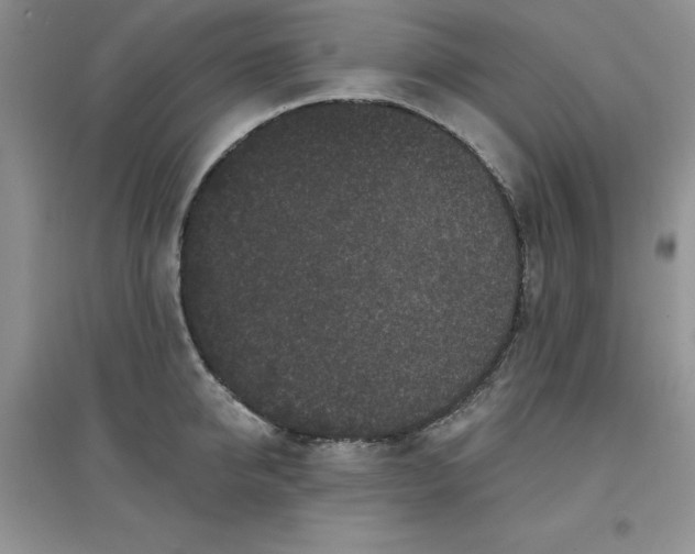 X0000097610950200803141936