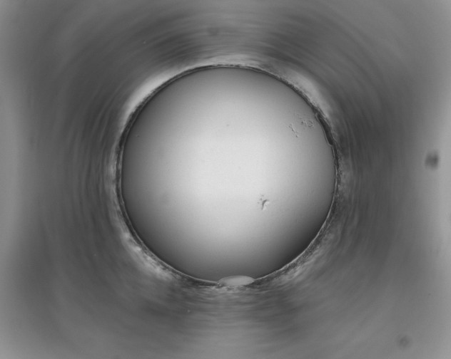 X0000097610952200803141936