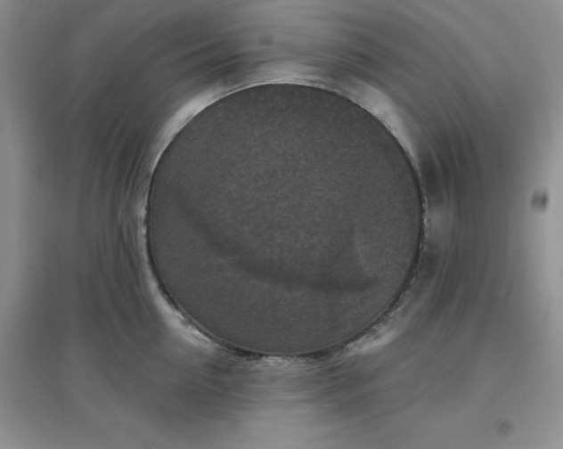 X0000097610954200803141936