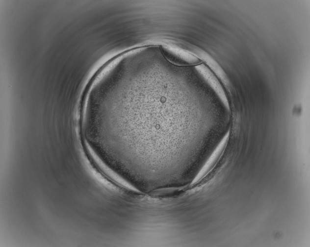 X0000097610955200803141936