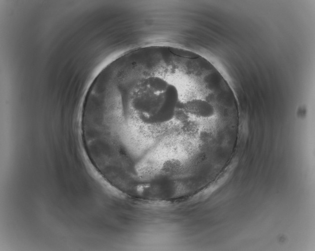 X0000097610957200803141936