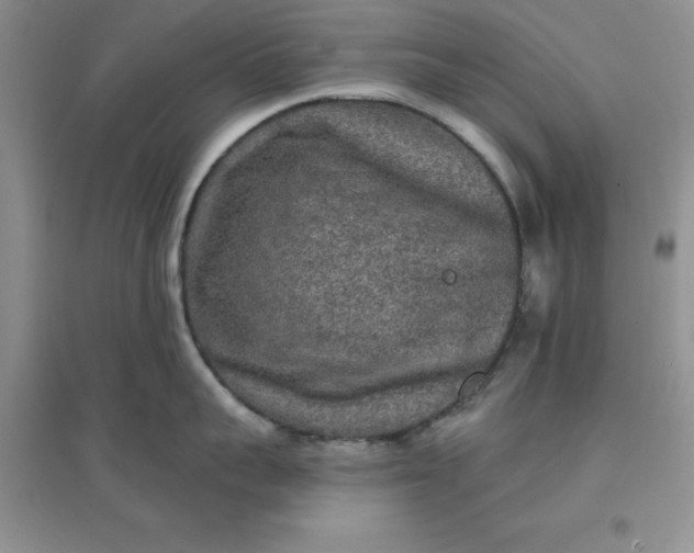 X0000097610959200803141936