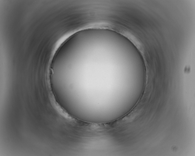 X0000097610960200803141936