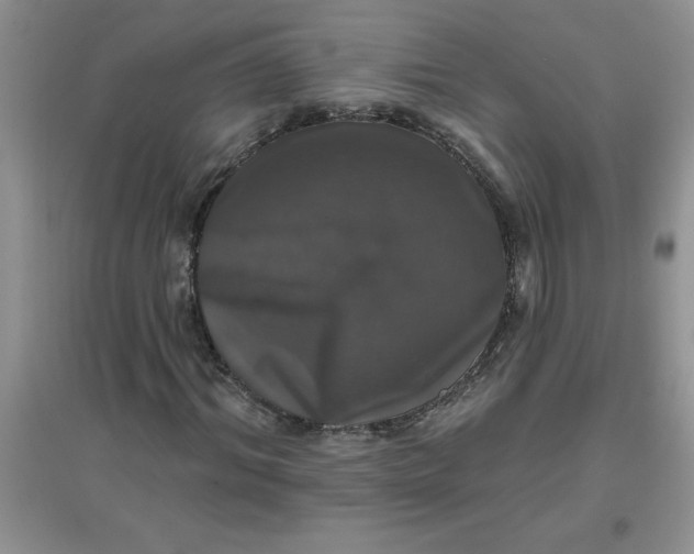 X0000097610964200803141935