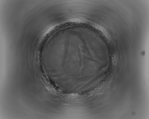 X0000097610968200803141935