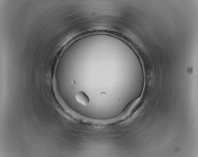 X0000097610969200803141935