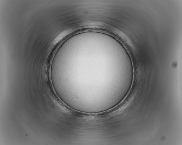 X0000097610970200803141935