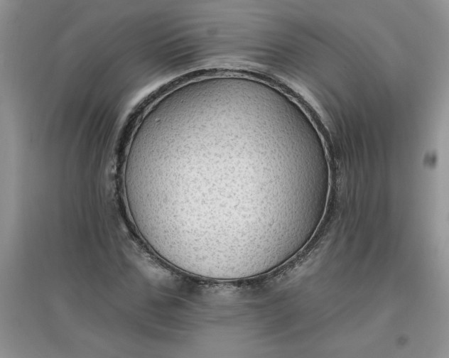 X0000097610971200803141935