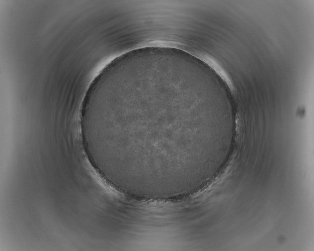 X0000097610972200803141935