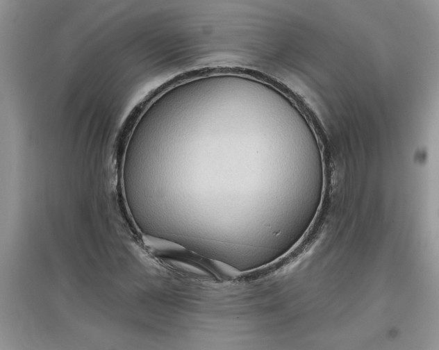 X0000097610973200803141935