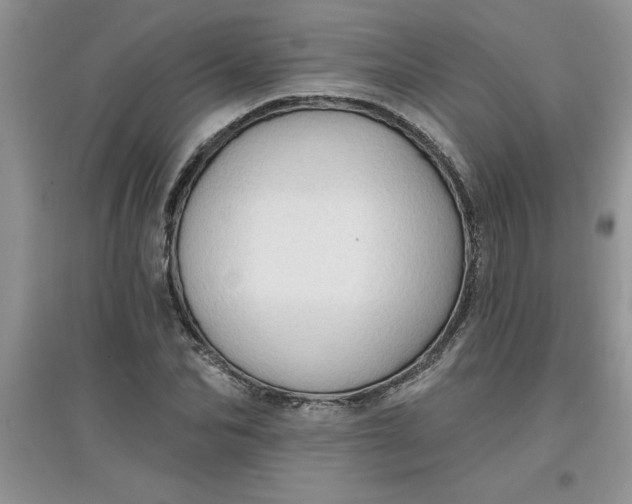 X0000097610974200803141935