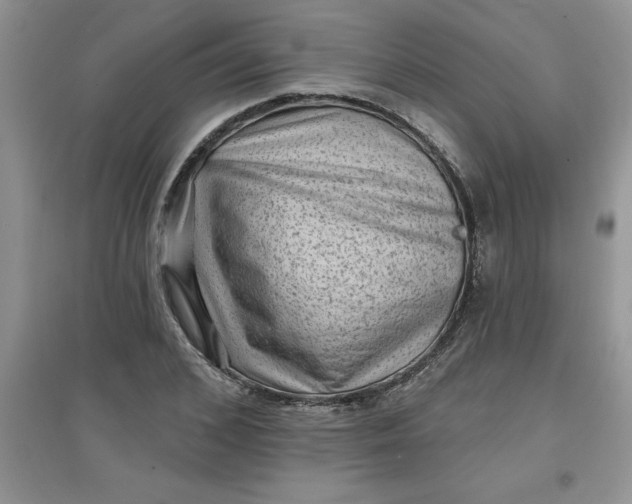 X0000097610976200803141935